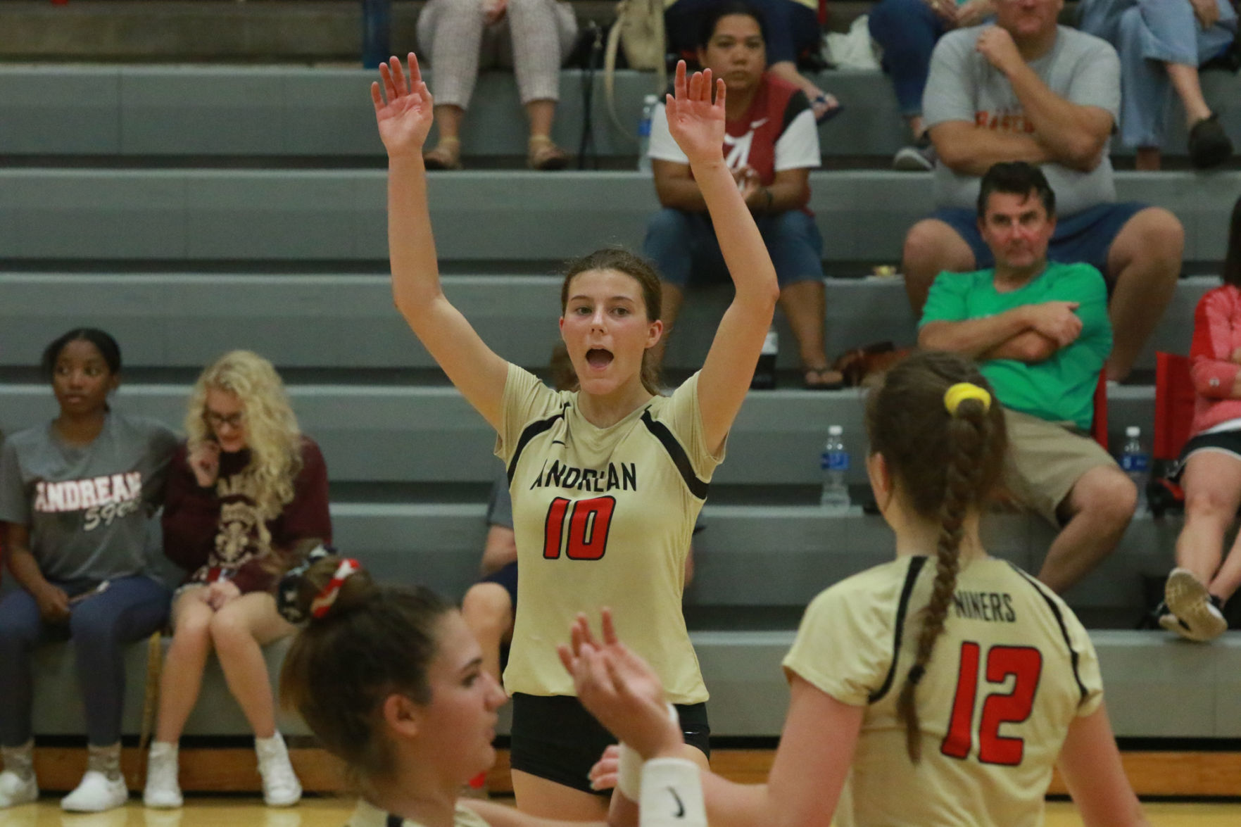 Gallery: Girls volleyball - Wheeler at Andrean